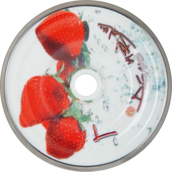 eisstock24 BaLu Eisstock Stockkörper Strawberry